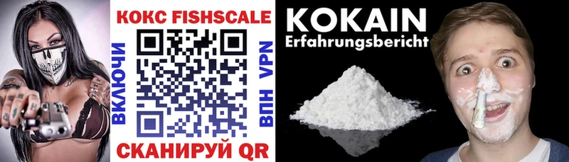 mega онион  Тбилисская  Кокаин Fish Scale 